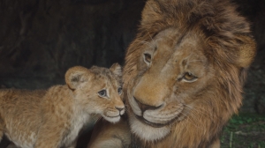 FMX 2025 Releases Final Program Update, Teaser Shorts Series FMX 2025 Releases Final Program Update, Teaser Shorts Series