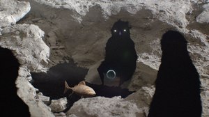 OIAF 2017: Animated Shorts We Watched and Loved