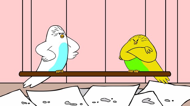 ‘The Parakeets:’ Who Knew Birdwatching Could be so Funny