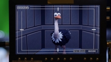 All the World Is a Stop-Motion Animation – Just Ask the Ostrich